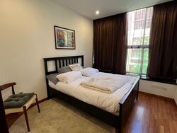 Holland Link (D10), Terrace #591767221